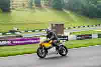 Yellow Bikes